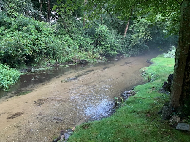 view of nature featuring a water view