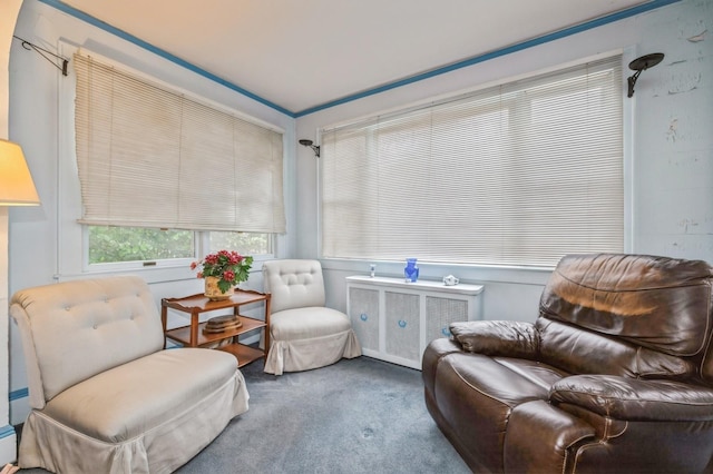 sitting room with radiator heating unit and carpet floors