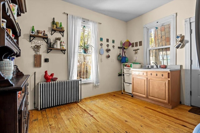 interior space featuring radiator, sink, plenty of natural light, and light wood-type flooring