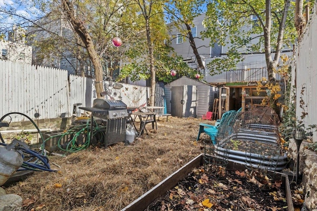 view of yard featuring a storage shed