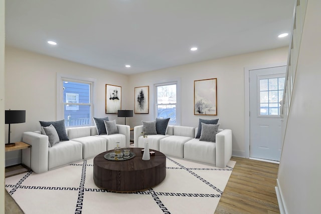 living room featuring light hardwood / wood-style flooring and a healthy amount of sunlight