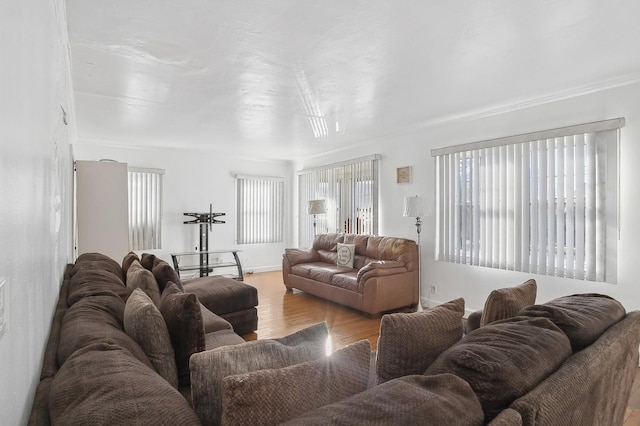 living room with light hardwood / wood-style floors and a wealth of natural light