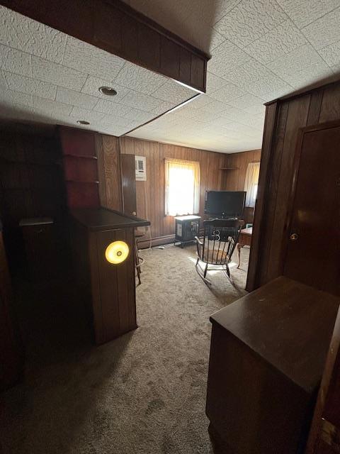 interior space with carpet and wood walls