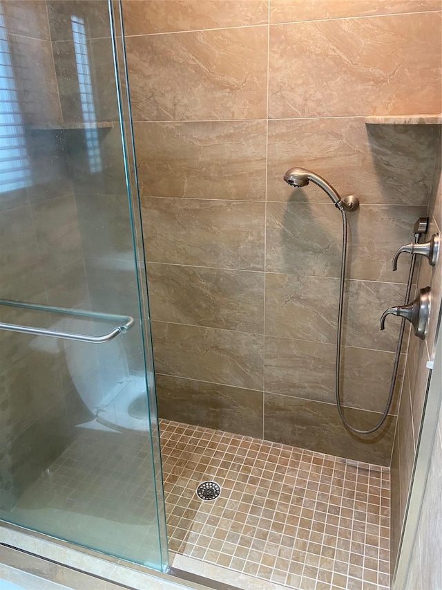 bathroom featuring a shower with shower door