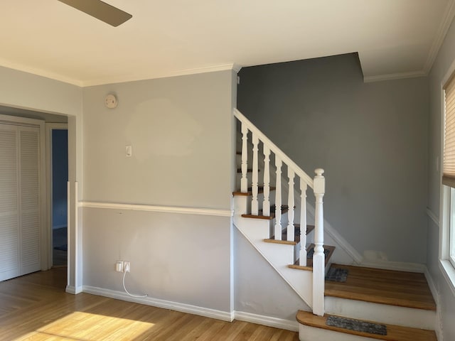 stairway featuring crown molding and hardwood / wood-style floors