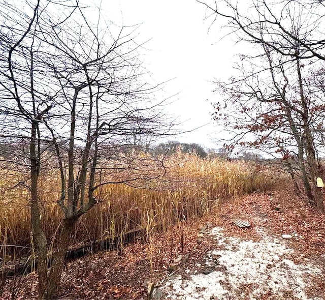 65 Lake Dr, Southold, NY 11971 - view of local wilderness