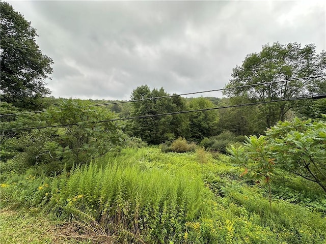 Shandelee Rd, Youngsville NY, 12791 land for sale