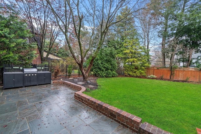 view of yard with area for grilling and a patio area