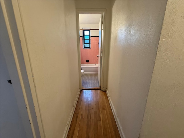 corridor with light wood-type flooring