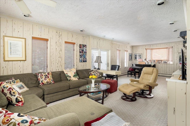 carpeted living room with a textured ceiling