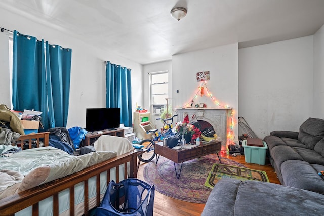 living room featuring hardwood / wood-style flooring