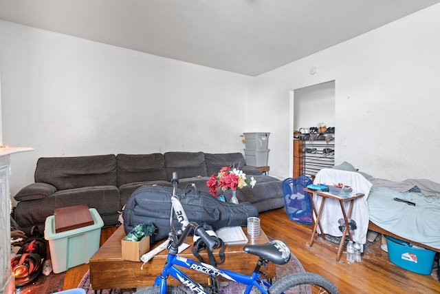 living room with wood-type flooring