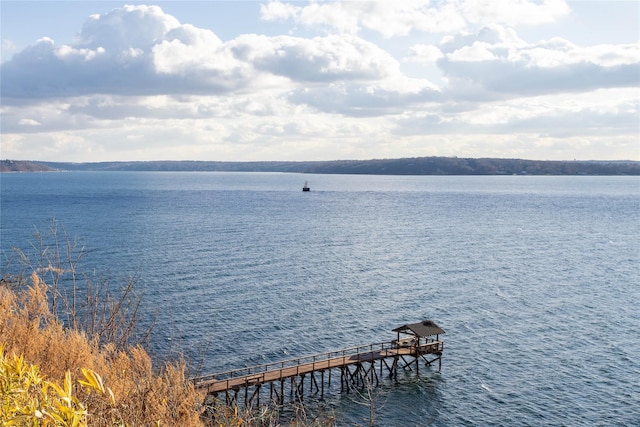 dock area with a water view