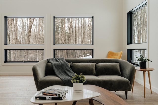 living room featuring light wood-type flooring