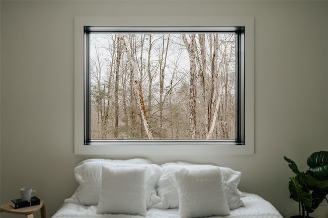 bedroom with multiple windows