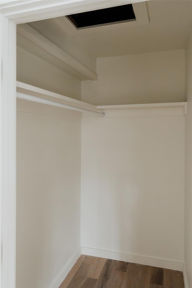 spacious closet with wood-type flooring