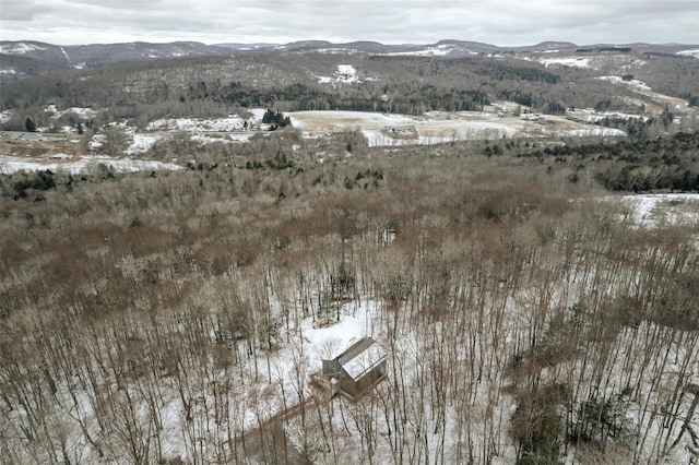 snowy aerial view featuring a mountain view