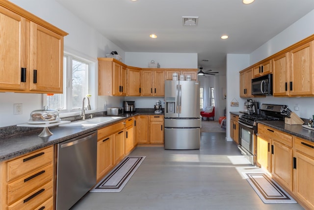 kitchen featuring hardwood / wood-style flooring, ceiling fan, sink, and appliances with stainless steel finishes