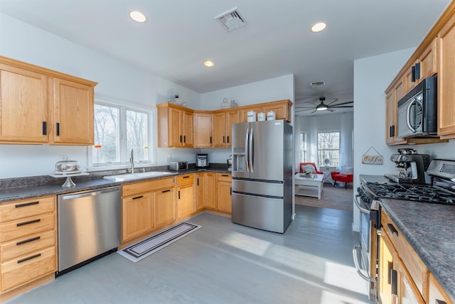 kitchen featuring ceiling fan, a healthy amount of sunlight, sink, and appliances with stainless steel finishes