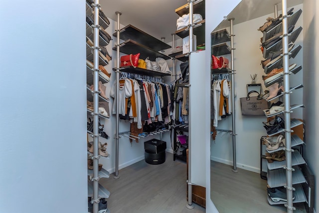 walk in closet with hardwood / wood-style flooring