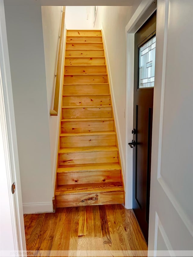 staircase featuring wood-type flooring