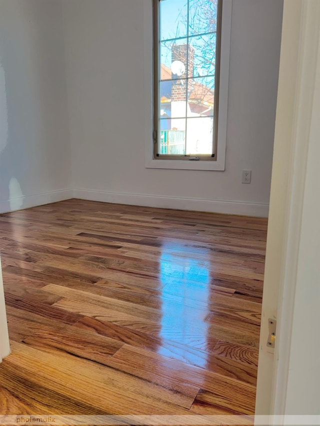 spare room with wood-type flooring