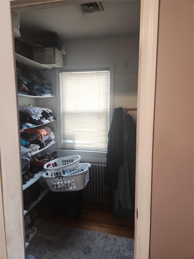 spacious closet with radiator heating unit and hardwood / wood-style floors