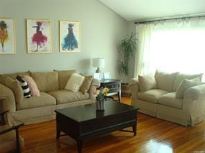 living room featuring hardwood / wood-style flooring