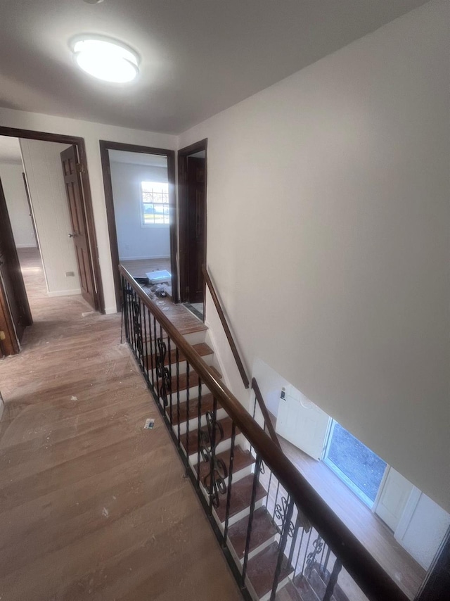 hallway with wood-type flooring