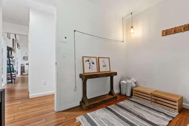 interior space with hardwood / wood-style floors
