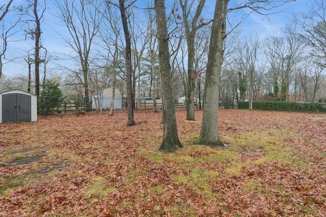 view of yard with a shed