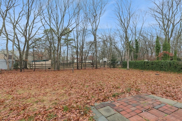 view of yard featuring a patio