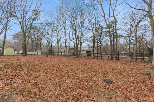 view of yard with a storage shed