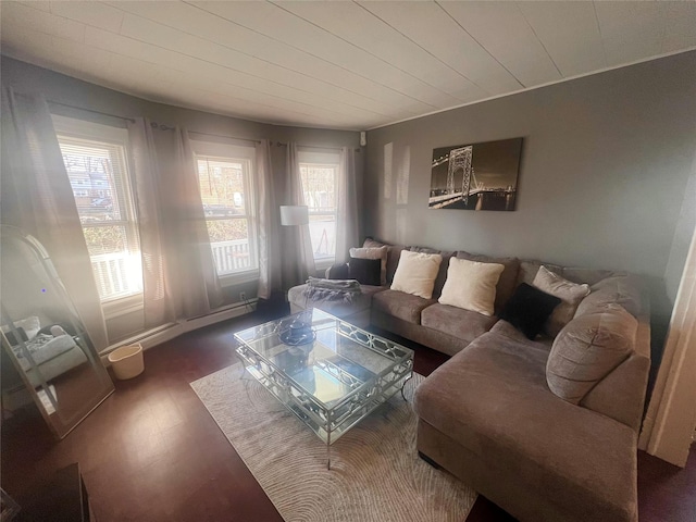 living room featuring dark hardwood / wood-style floors