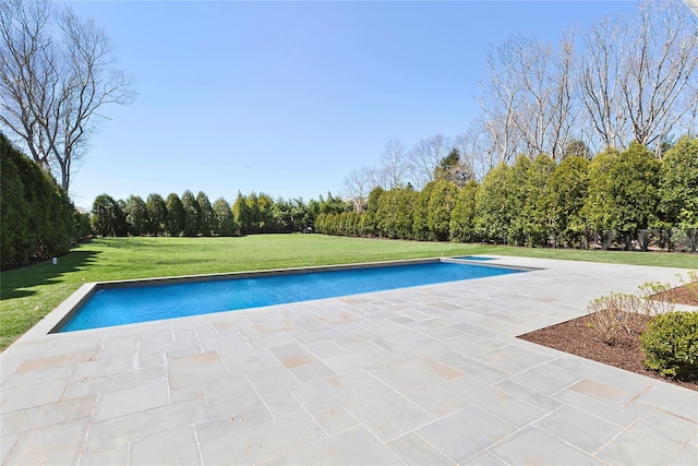 view of swimming pool with a lawn and a patio