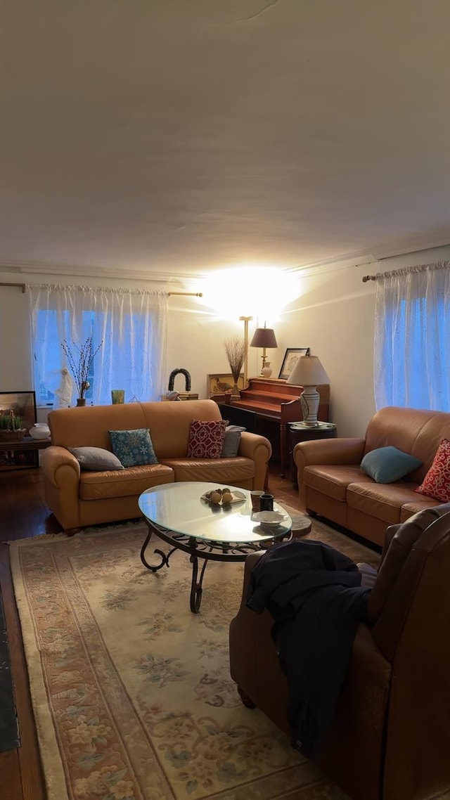 living room featuring hardwood / wood-style floors