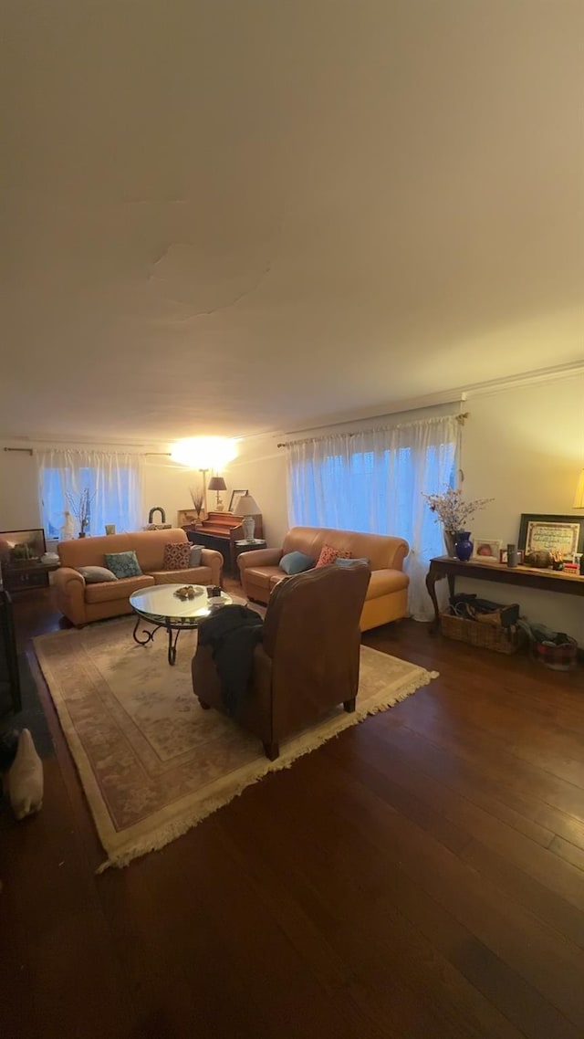 living room featuring wood-type flooring