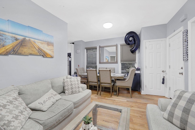 living room featuring hardwood / wood-style floors