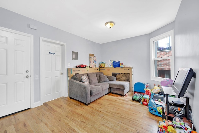 living room with light hardwood / wood-style flooring