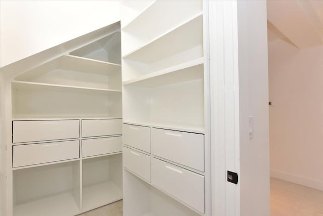 view of spacious closet