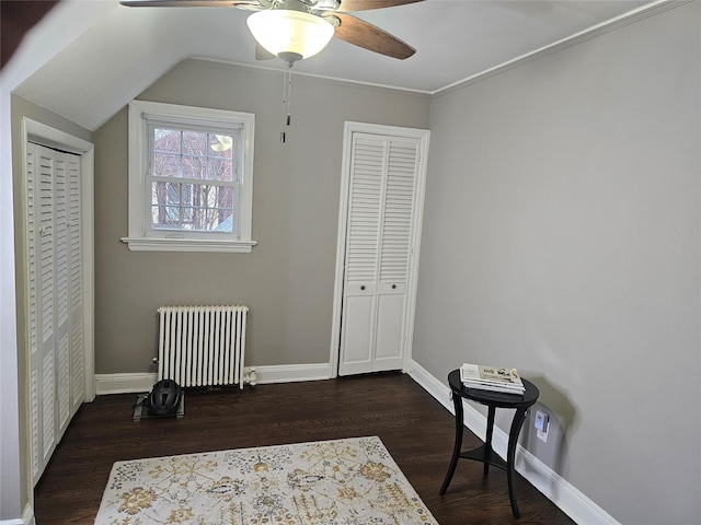 bedroom featuring radiator, ceiling fan, dark wood-type flooring, lofted ceiling, and a closet