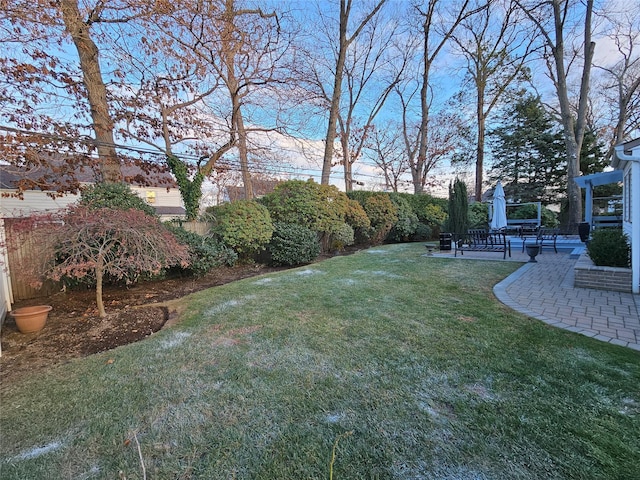 view of yard featuring a patio