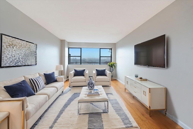 living room featuring light hardwood / wood-style floors