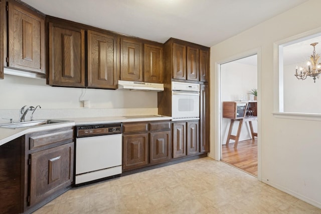 kitchen with dark brown cabinetry, sink, an inviting chandelier, light hardwood / wood-style floors, and white appliances