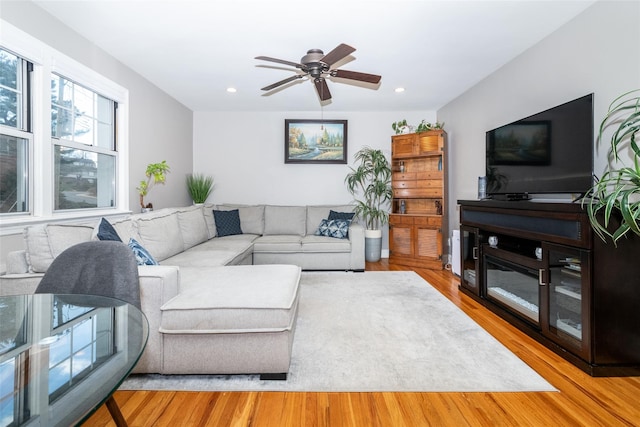 living room with ceiling fan and light hardwood / wood-style flooring