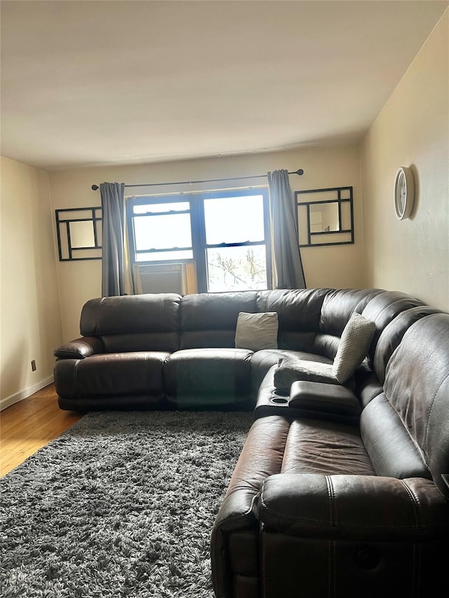 living room featuring wood-type flooring