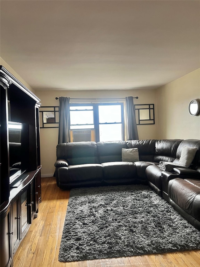 living room featuring light hardwood / wood-style flooring