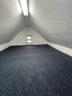 additional living space featuring carpet and vaulted ceiling