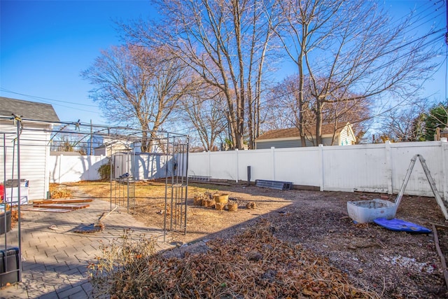 view of yard featuring a patio area and a shed