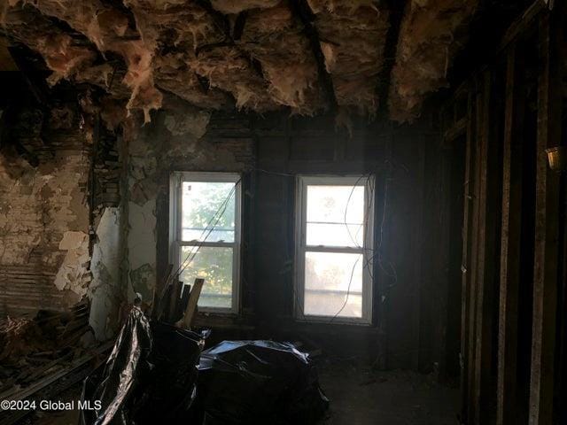 miscellaneous room with a wealth of natural light